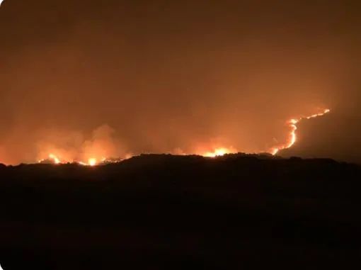 北加州|三百场野火大焚加州，美国千里人间如地狱