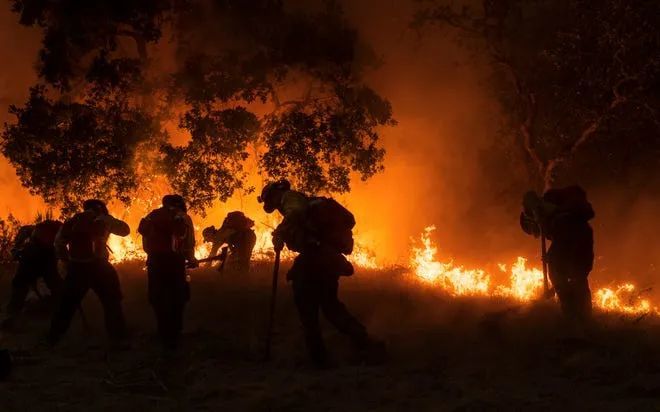 北加州|三百场野火大焚加州，美国千里人间如地狱