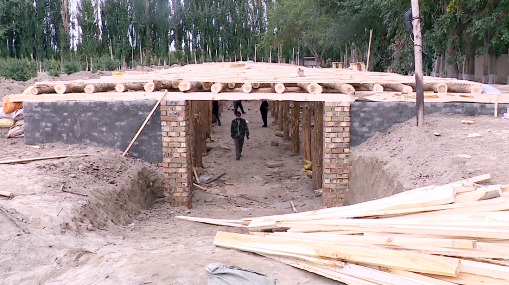 【统筹推进疫情防控和经济社会发展】库车市建设完成23000个农家菜窖