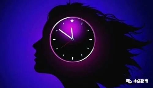 脂质|昼夜节律与脂质代谢