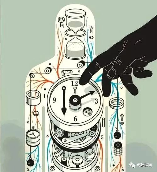 脂质|昼夜节律与脂质代谢