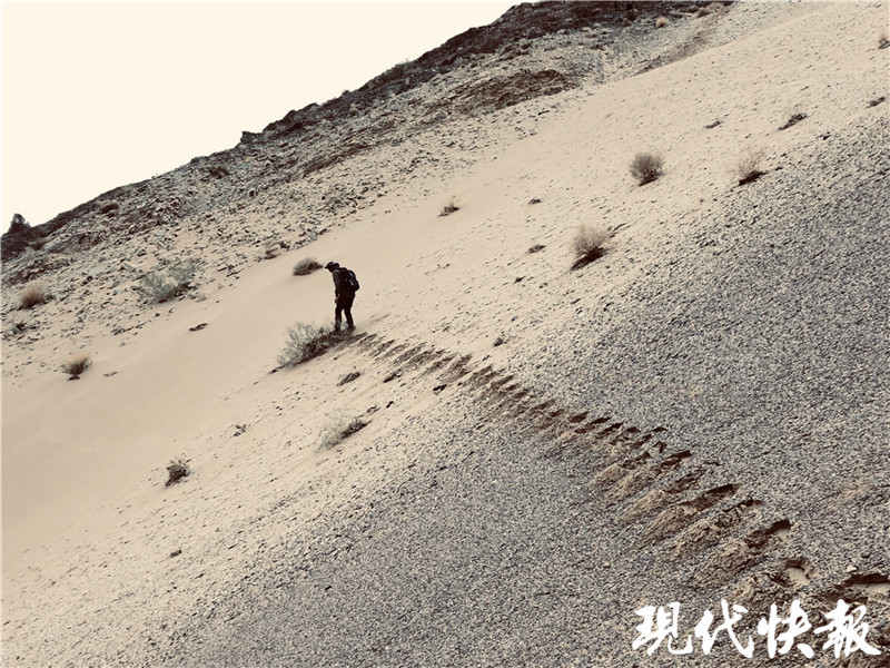 青藏高原|揭秘青藏高原的变迁！40年后，科考队再探地球第三极