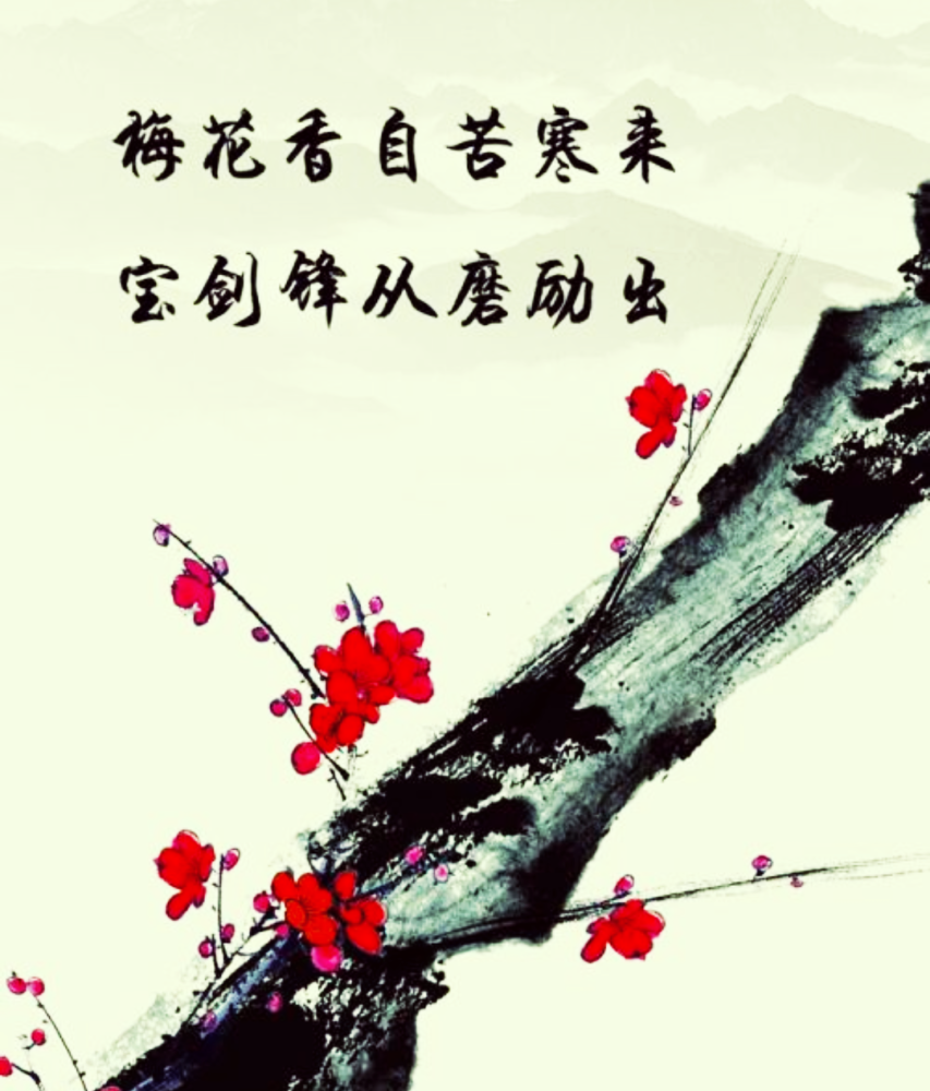 一,宝剑锋从磨砺出,梅花香自苦寒来 春寒料峭,乍暖还寒.
