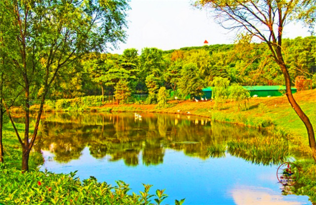 園景區在棋盤山國際風景旅遊區內,是瀋陽最大的動物園,適合親子游玩