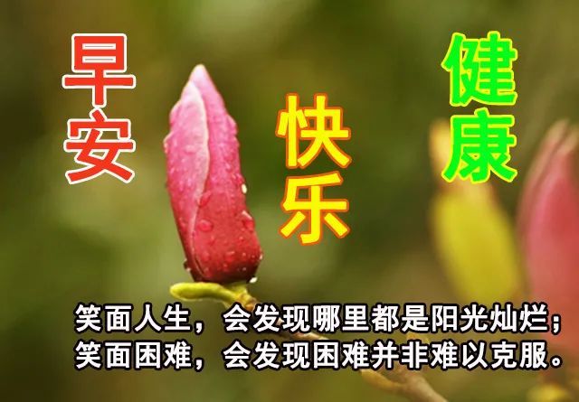 8月22日清晨群發早上好問候祝福語動態圖片 早晨好問候動態圖片表情帶