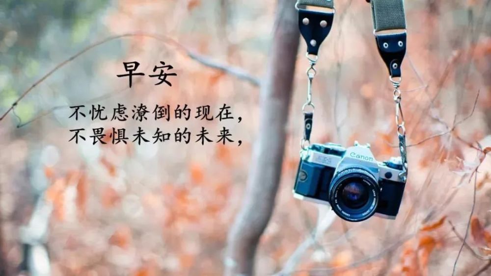 发朋友圈的哲理短句经典实用干货满满