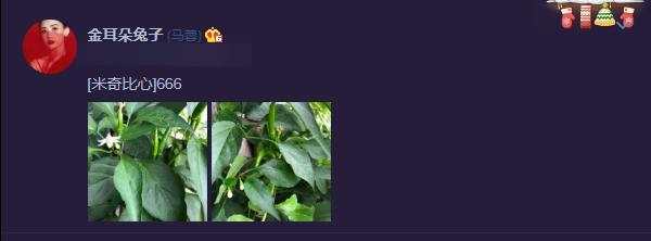 马蓉|马蓉罕见晒视频自信微笑，这一细节举动被疑有新恋情