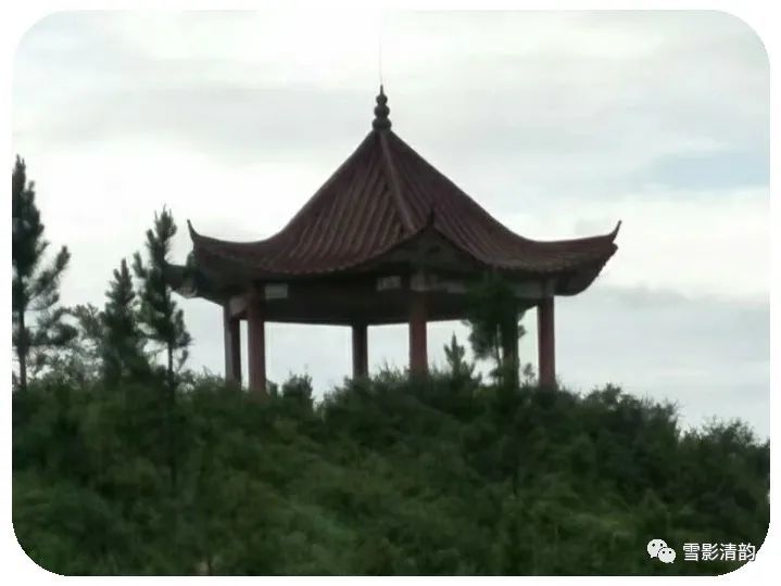 春风|古韵第三十七期