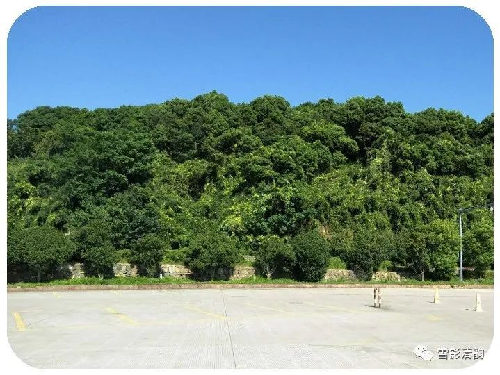 春风|古韵第三十七期