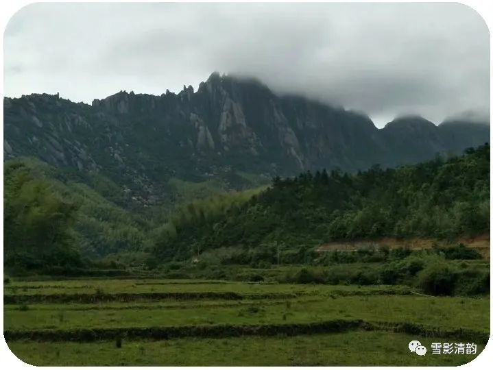 春风|古韵第三十七期