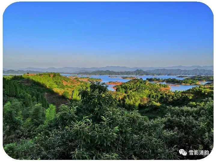 春风|古韵第三十七期