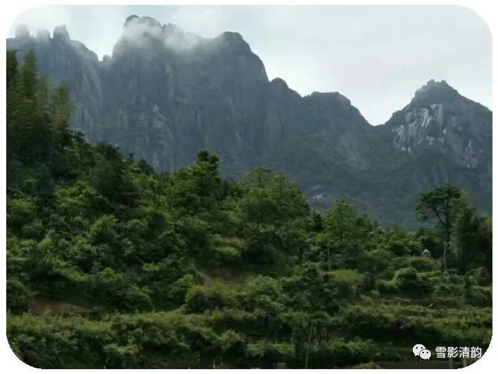 春风|古韵第三十七期