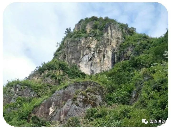 春风|古韵第三十七期