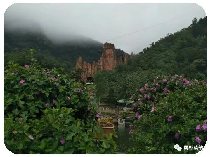 春风|古韵第三十七期