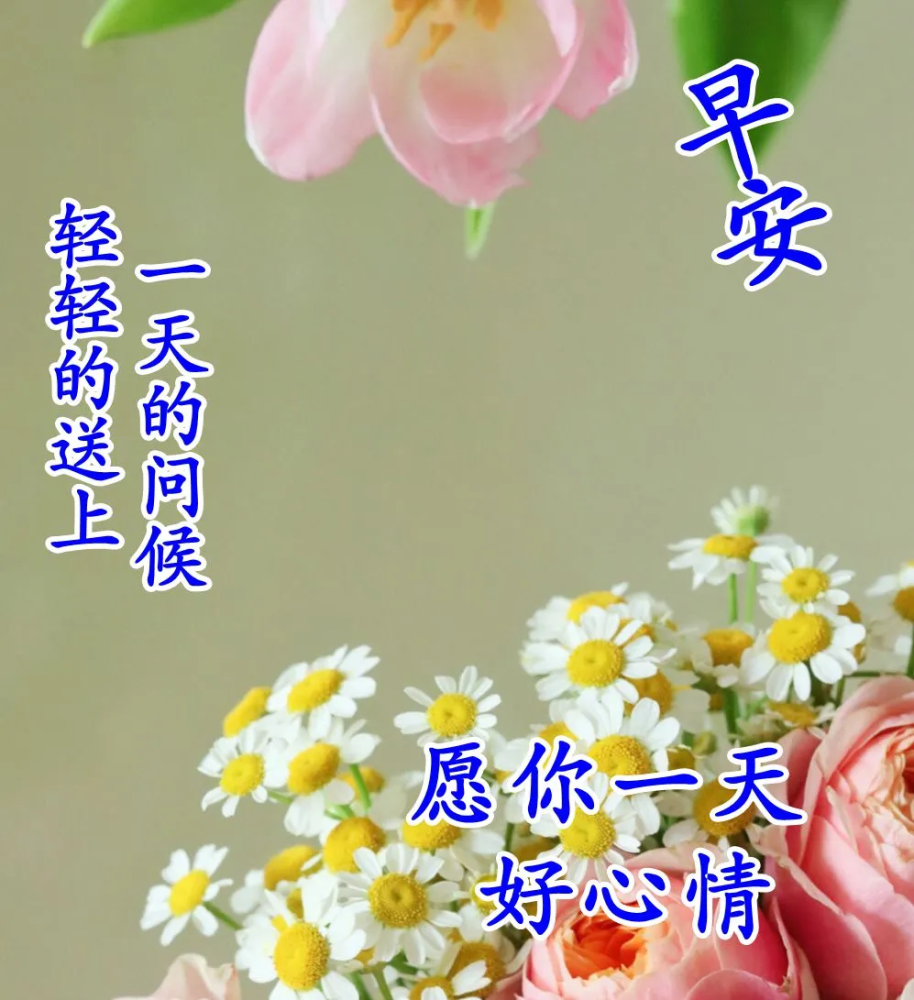 适合微信群发的早上好问候语图片大全新版早晨祝福语唯美句子