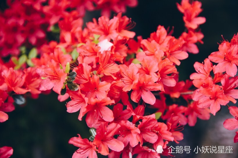 8月22日爱情运势 白羊乐于助人 狮子执行力强 水瓶不留遗憾 腾讯新闻