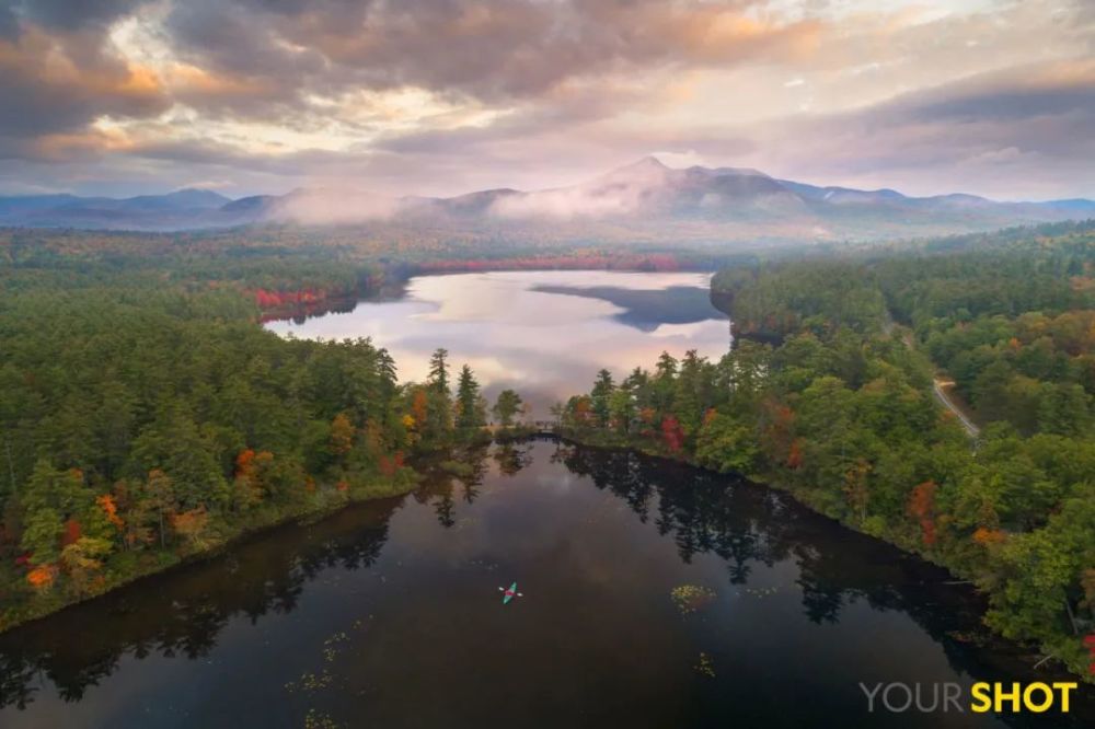 秋日|露蝉声渐咽，秋日景初微