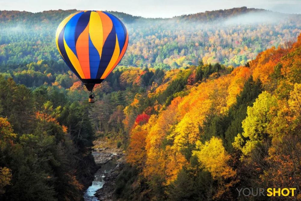 秋日|露蝉声渐咽，秋日景初微