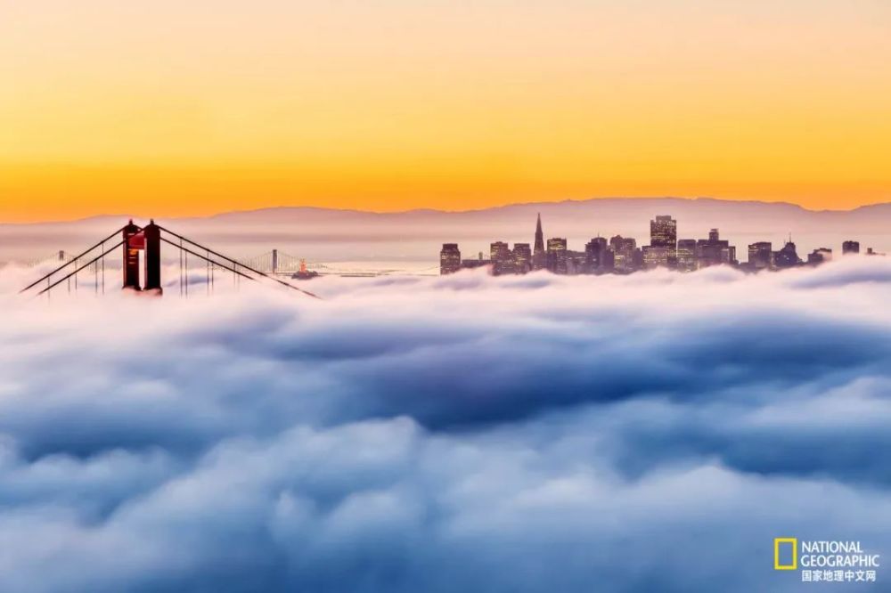 秋日|露蝉声渐咽，秋日景初微