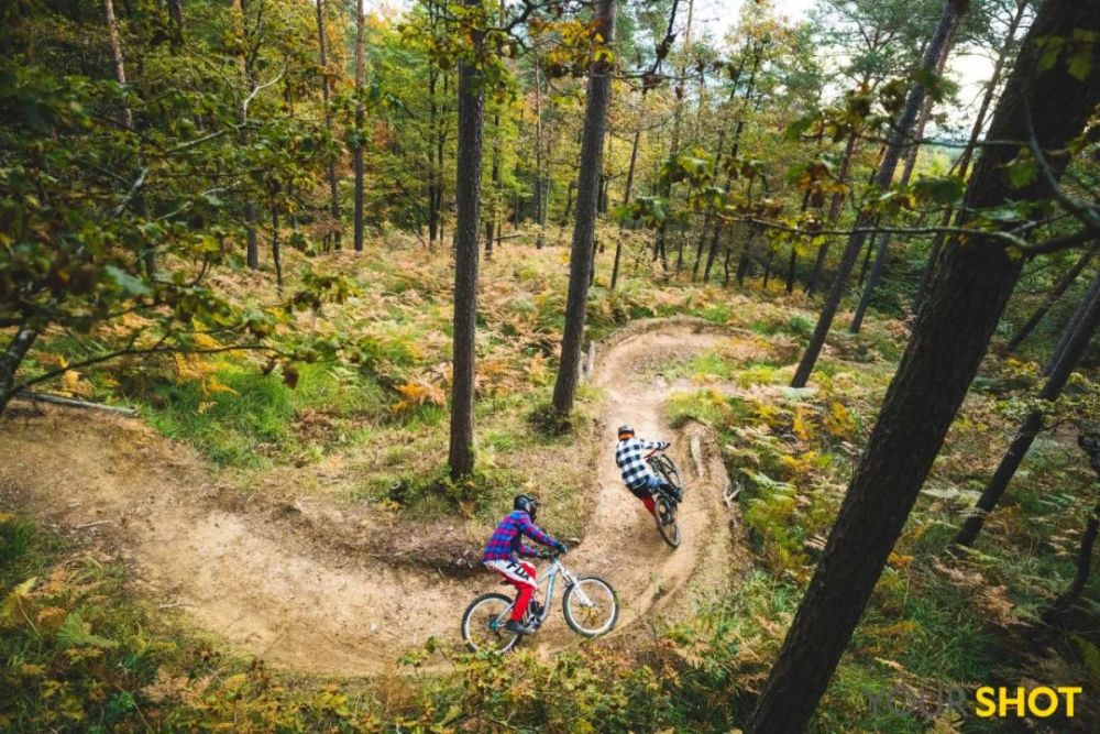 秋日|露蝉声渐咽，秋日景初微