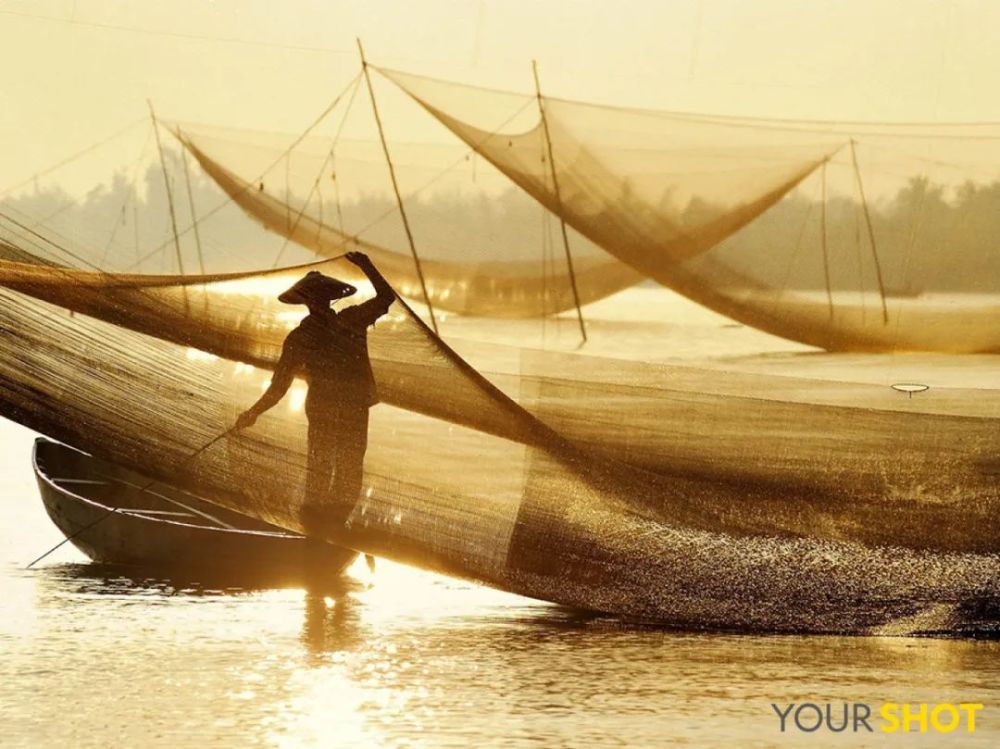 秋日|露蝉声渐咽，秋日景初微