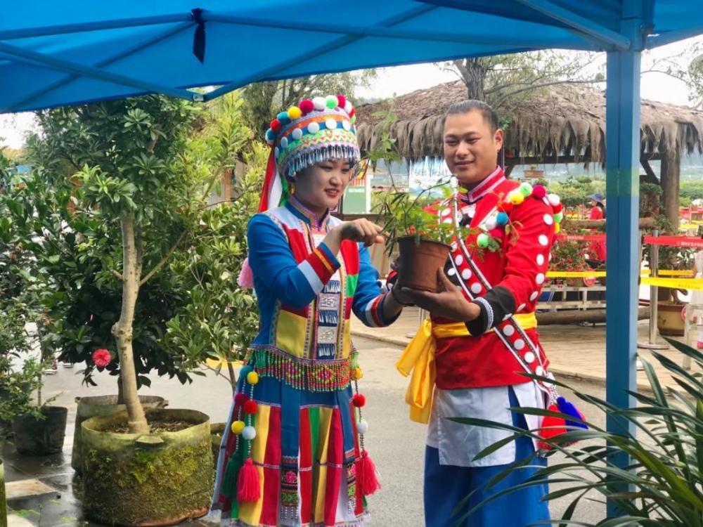 周末去哪儿 北海湿地彩云花市 与你邂逅繁花美好生活 腾讯新闻