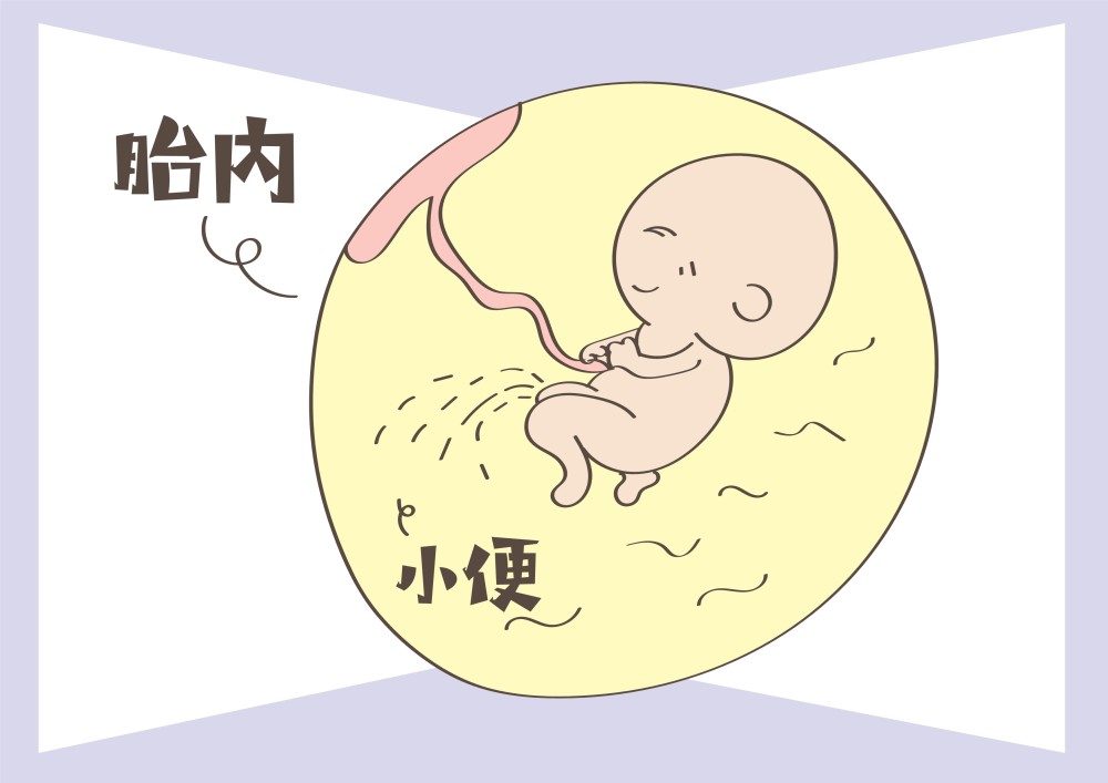胎内回归 腾讯网