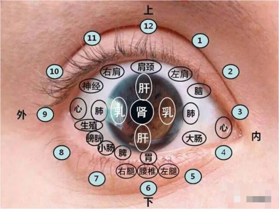 看眼识健康 中医辩证知识-眼诊,默默收藏_腾讯新闻