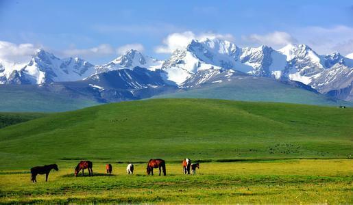 若羌县|我国最大的县，面积等同陕西省，人口只有6万多，真正的地广人稀