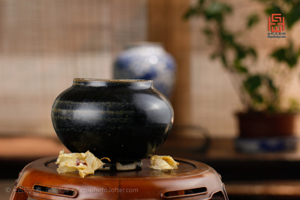 磁州窑|金-元磁州窑黑釉茶入