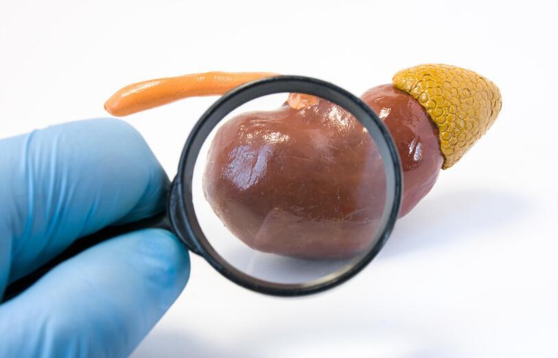 肾功能|4项指标了解肾功能，浅显易懂，越早知道越有利于防肾衰竭