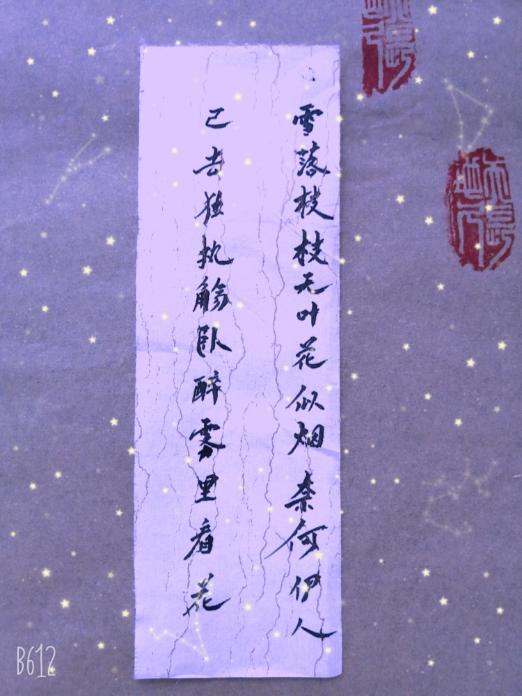 寒灯|错把陈醋当成墨，写尽半生纸上酸。寒灯纸上梨花雨凉，我等风雪又一年