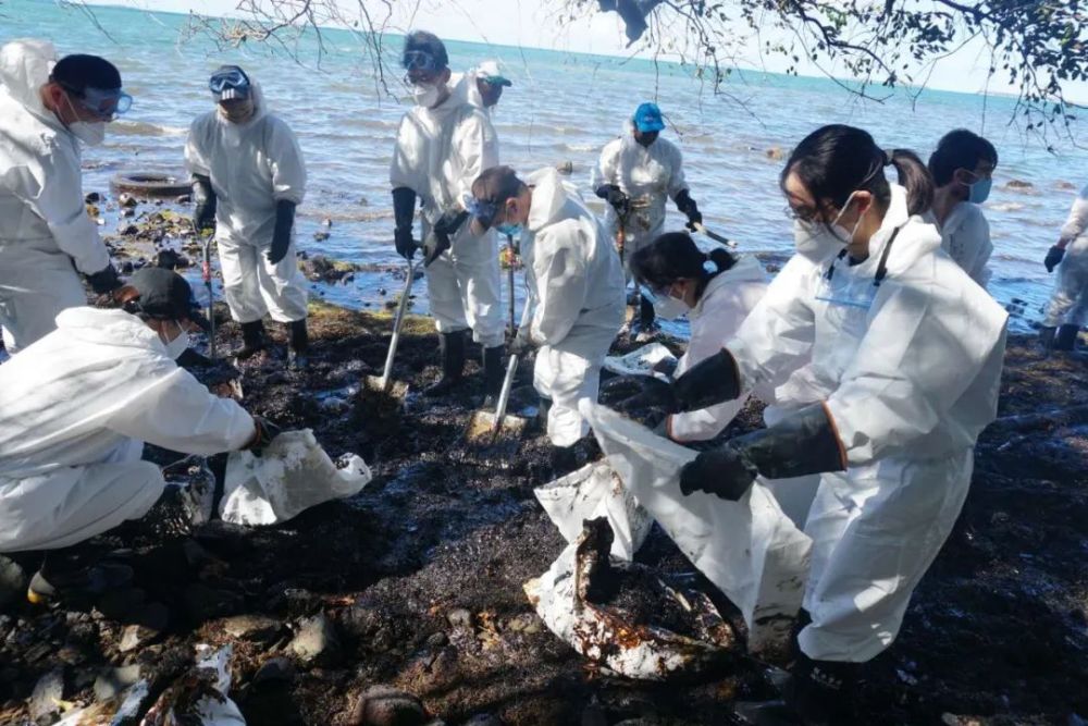 毛里求斯_社会|“天堂原乡”遭遇燃油泄漏：当地妇女捐发吸油 中国志愿者出手相助