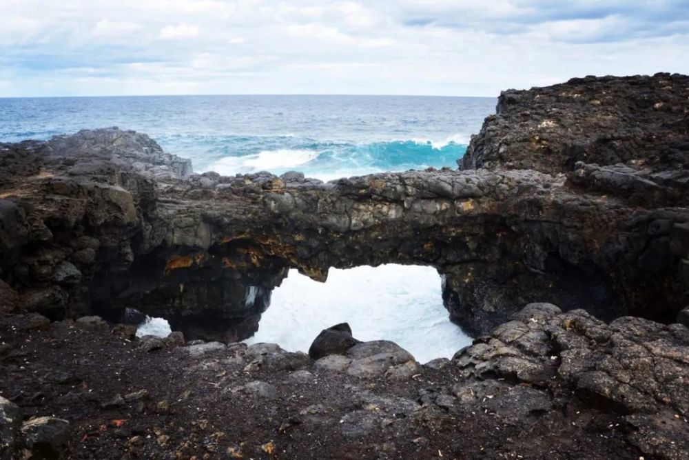 毛里求斯_社会|“天堂原乡”遭遇燃油泄漏：当地妇女捐发吸油 中国志愿者出手相助