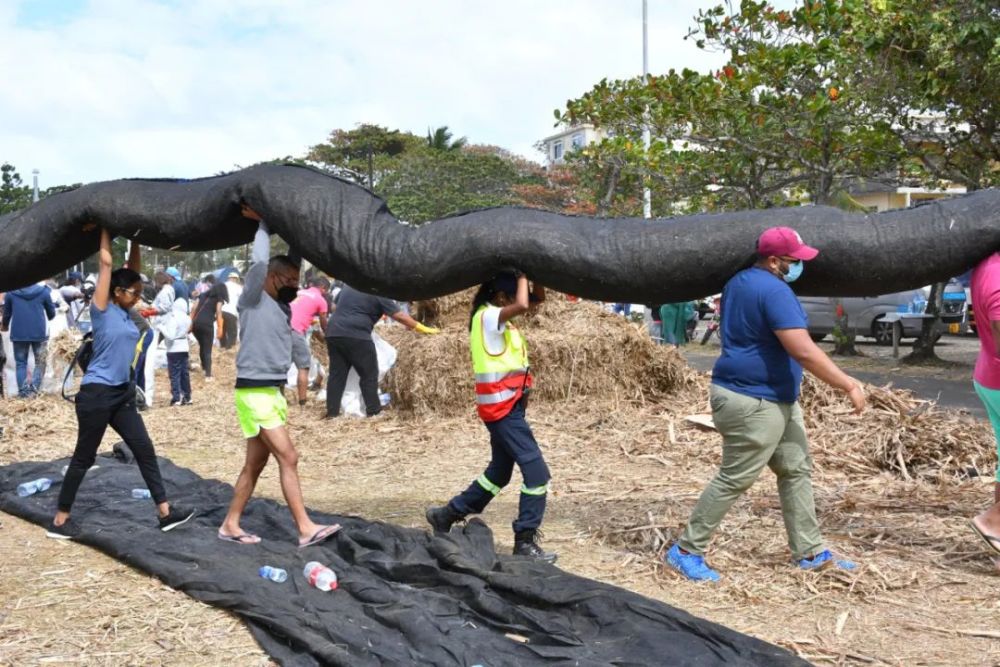 毛里求斯_社会|“天堂原乡”遭遇燃油泄漏：当地妇女捐发吸油 中国志愿者出手相助