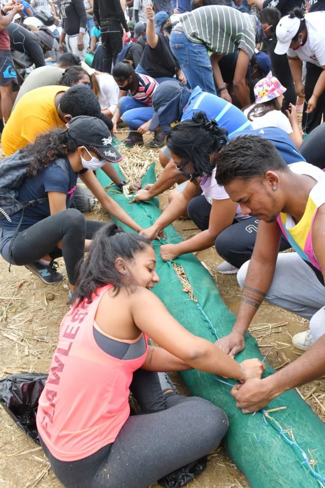 毛里求斯_社会|“天堂原乡”遭遇燃油泄漏：当地妇女捐发吸油 中国志愿者出手相助