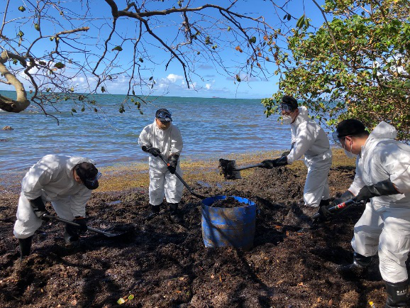 毛里求斯_社会|“天堂原乡”遭遇燃油泄漏：当地妇女捐发吸油 中国志愿者出手相助