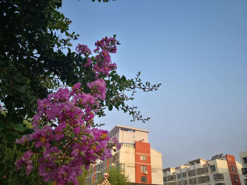 潘潇广|处暑满地黄，新凉直万金