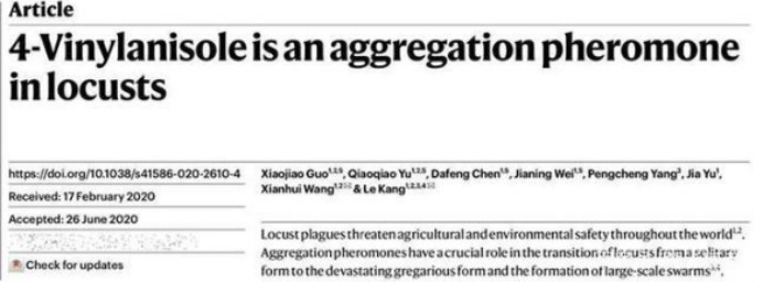 蝗灾|传统防蝗无法治理蝗灾，中国团队发现新方法，实在太厉害了