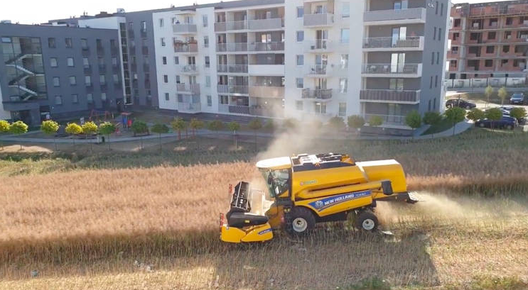 开发商|农民拒绝把地卖给开发商，每年夏秋在小区里收割庄稼，竟大受欢迎