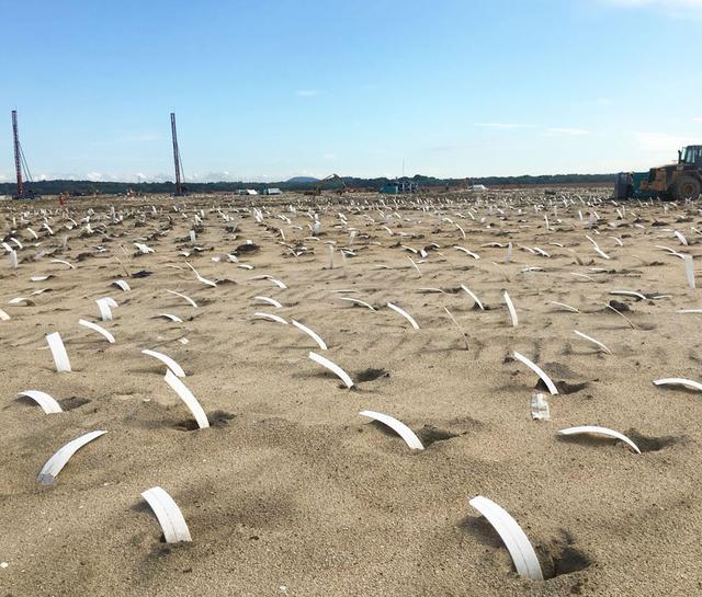 塑料pvd排水板竖向排水固结法技术原理