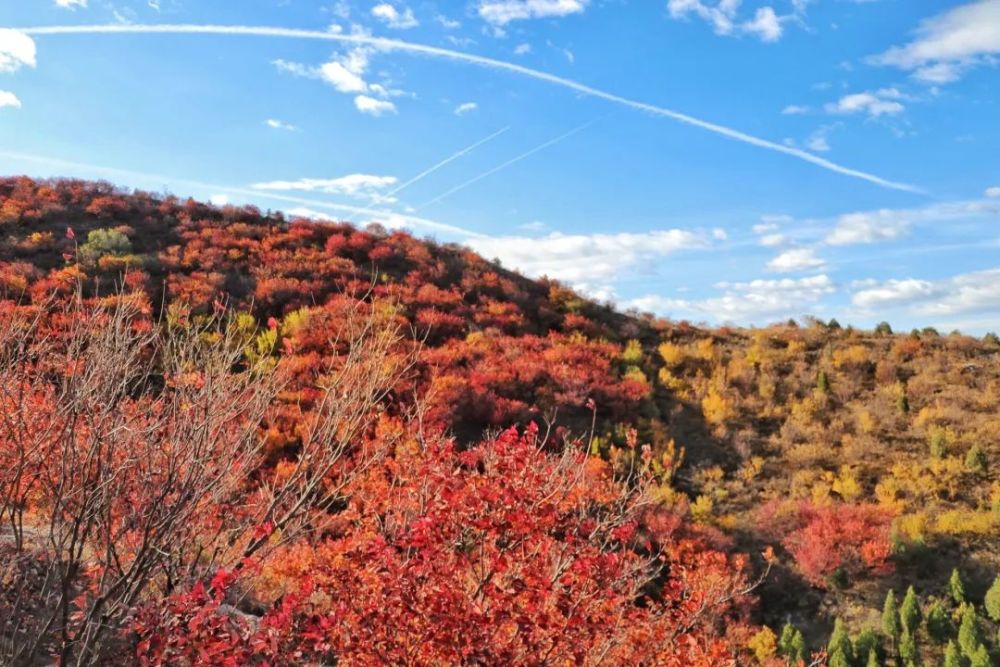北京|安排！7条京郊步道＋10条重点路线，初秋北京出游攻略大放送！