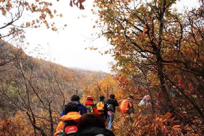 北京|安排！7条京郊步道＋10条重点路线，初秋北京出游攻略大放送！