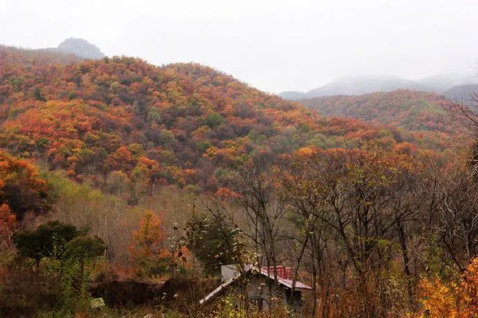 北京|安排！7条京郊步道＋10条重点路线，初秋北京出游攻略大放送！