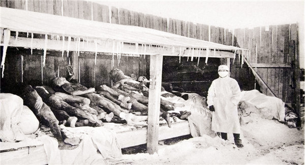 1910年哈尔滨黑死病图片