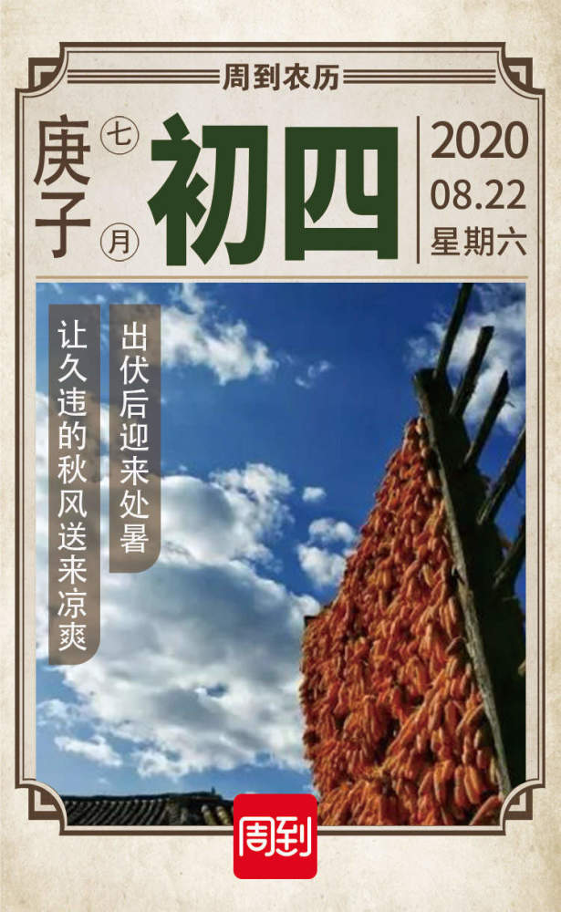 今日是立秋后第十五天, 太阳运行至黄经150度, 斗柄指申为处暑.