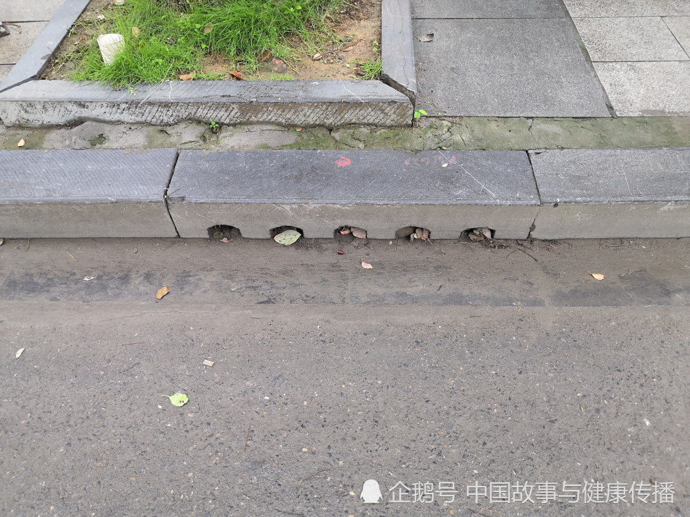 国内迷你型立箅式雨水口