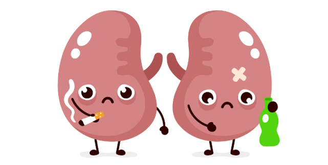 肾,为先天之本,生命之源,尤为重要.一个人,两颗肾脏,左右各一.