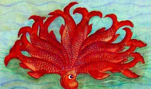 山海经|远古食谱——《山海经》，这种飞鱼你见过吗