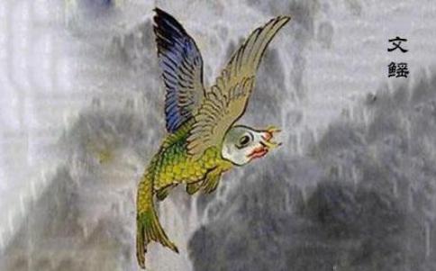 山海经|远古食谱——《山海经》，这种飞鱼你见过吗